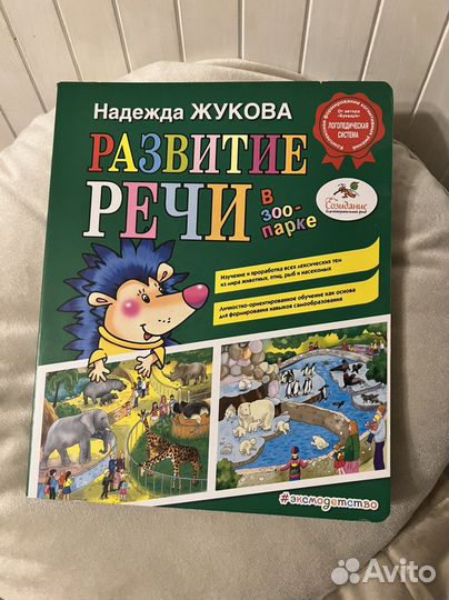 Книга «Развитие речи» и пропись для дошкольников