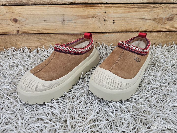 Угги UGG Tazz Hybrid Chestnut мужские оригинал