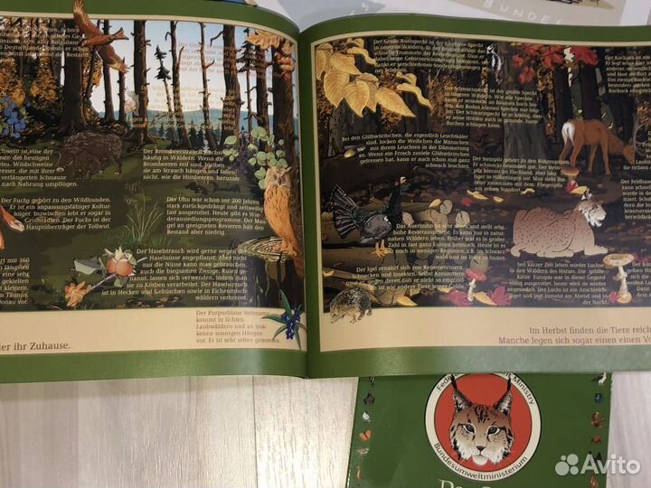 Учебная литература + книги для мам