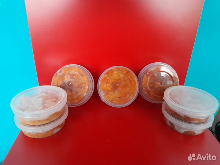 Икра морского ежа