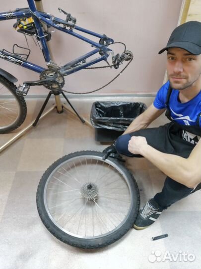 Веломастер