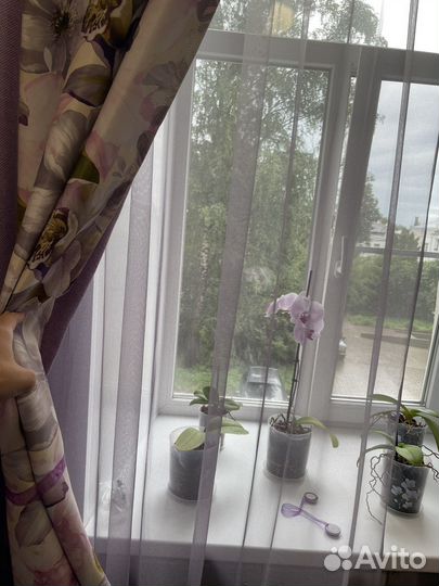 Комплект шторы тюль