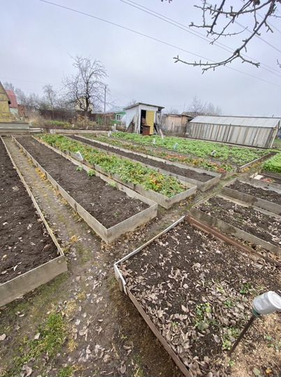 Дача 20 м² на участке 6 сот.