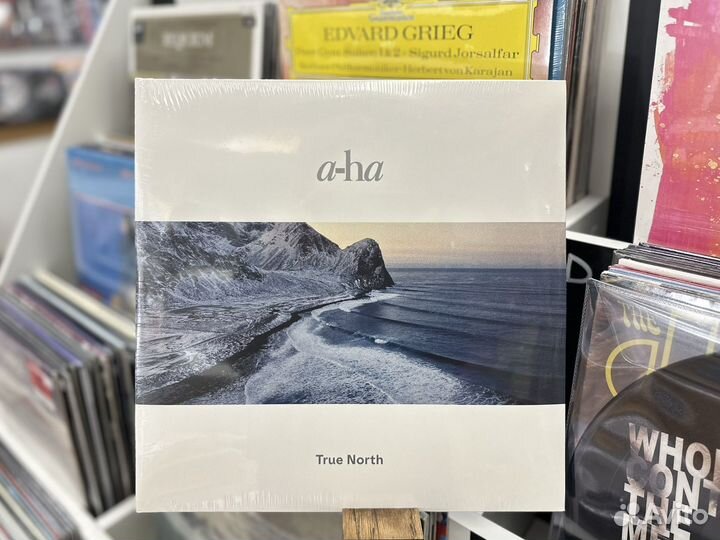Виниловые пластинки A-ha