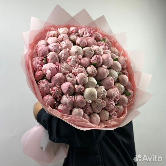 51 пионов / пионы С доставкой