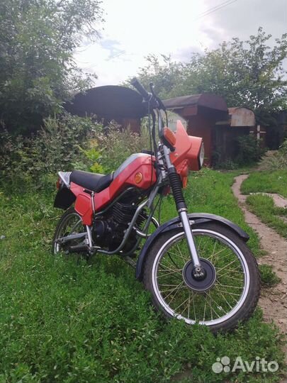 Зид Пилот 50
