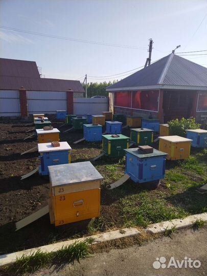 Пчелы и улья