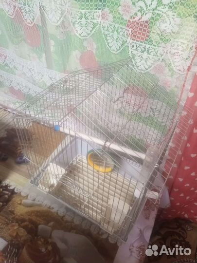 Клетка для попугая