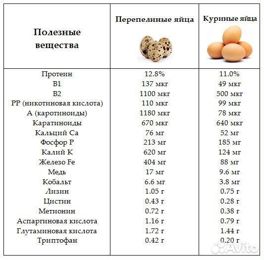 Яйца перепелиные домашние