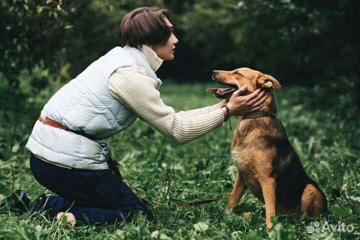 Молодой Жорж проводит детство в приюте