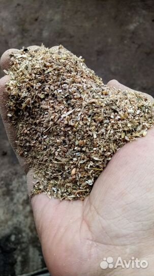 Отходы зерновые