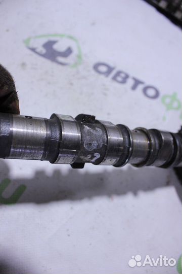 Распредвал впускной C 203