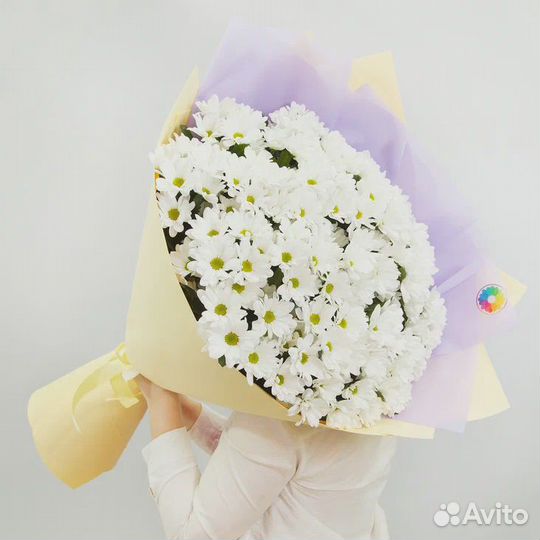 Цветы хризантемы доставка 24/7