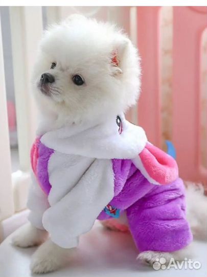 Костюм для кошек и собак