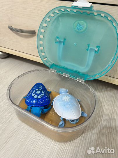 Интерактивная Черепашка Moose Little Live Pets