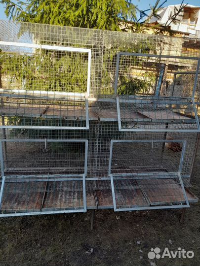 Клетка для кур