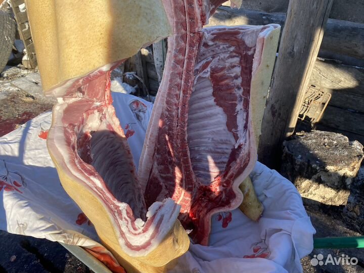 Мясо свинина домашняя / деревенская