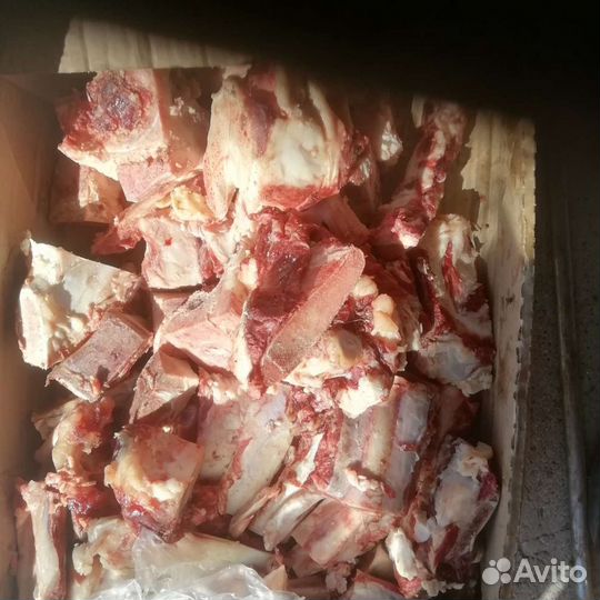 Корм для собак кошек курей