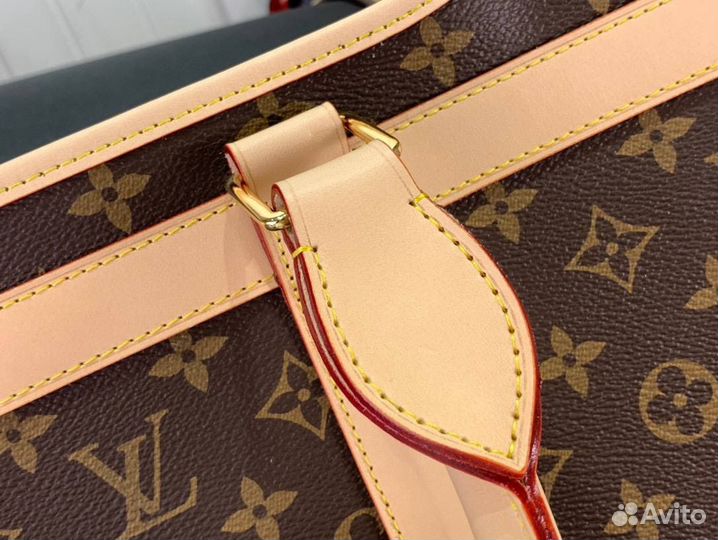 Переноска для собаки louis vuitton