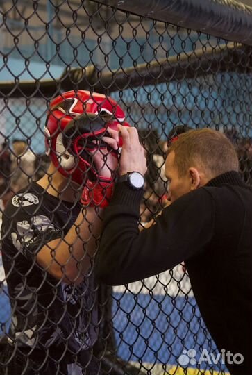 Группа смешанных единоборств