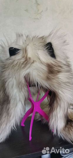 Волкошапка