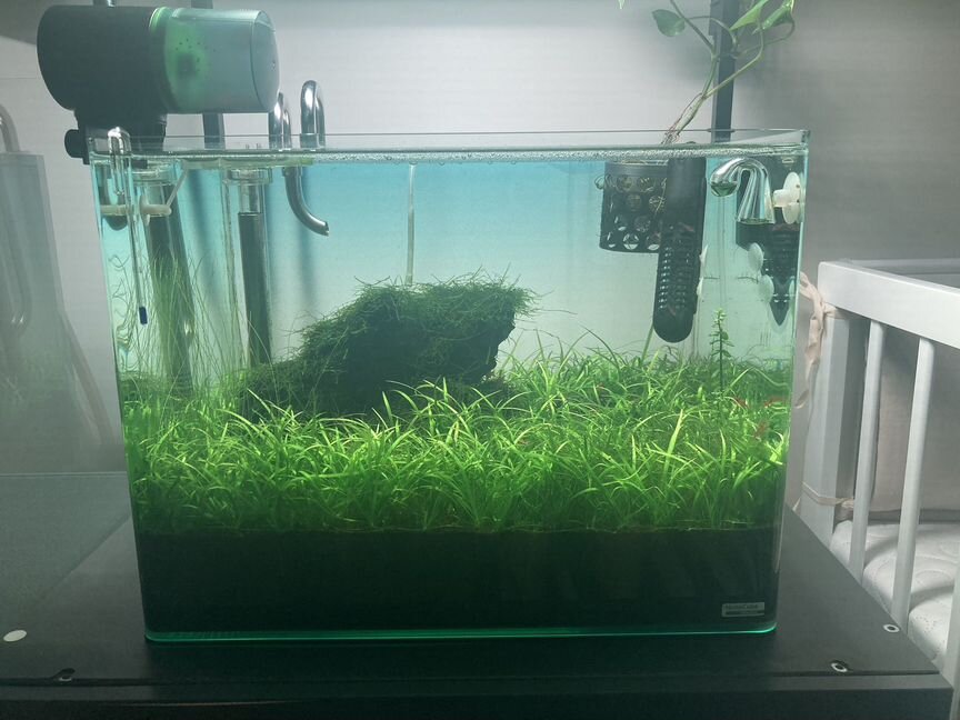 Аквариум с тумбой 55 dennerle Nano Scaper's Tank