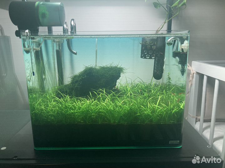 Аквариум с тумбой 55 dennerle Nano Scaper's Tank