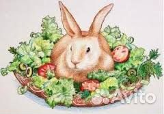 Свежее мясо кролика, доставка по Калининграду