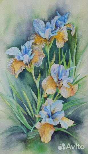 Картина акварелью 