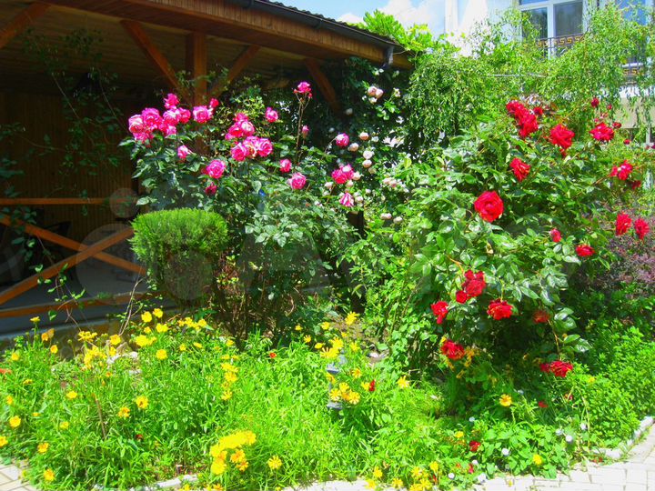 Комната 20 м² в > 9-к., 1/3 эт.