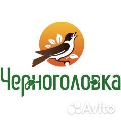 Слесарь сантехник