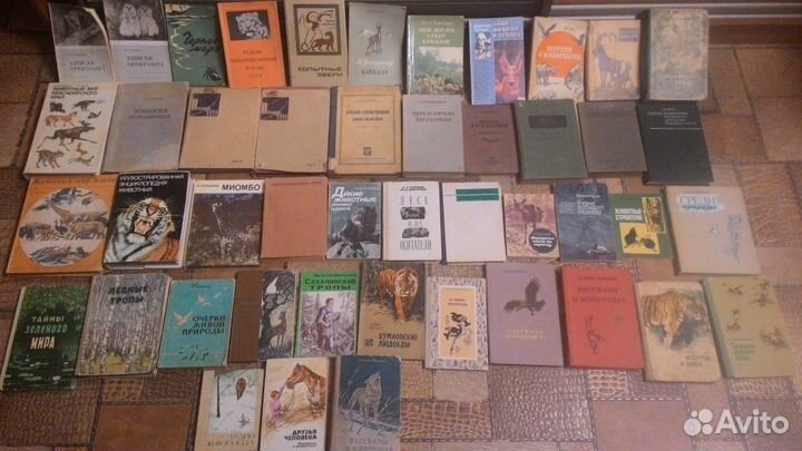 Зоология насекомые животные птицы