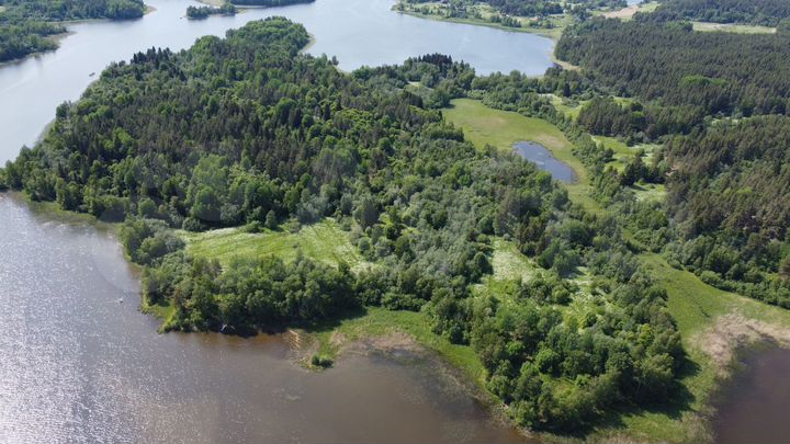 Участок 5,5 га (ИЖС)