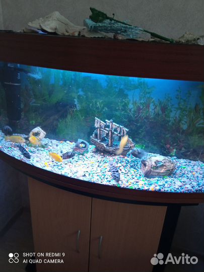 Аквариум с тумбой 170 литров