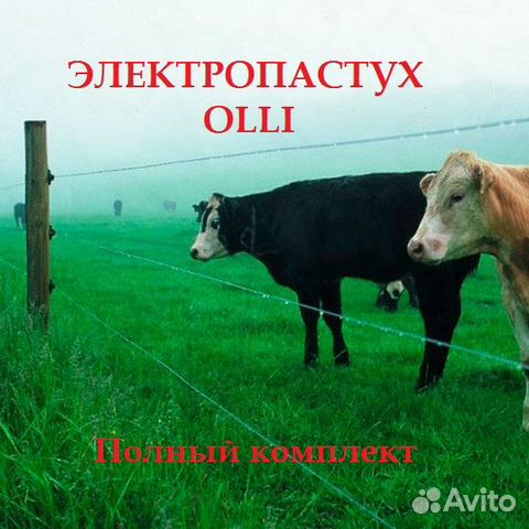 Электропастух полный комплект 100Га 2ряда