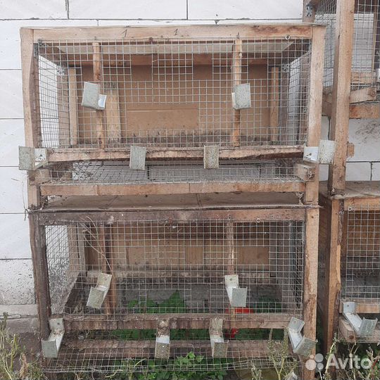 Клетка металлическая для кур несушек