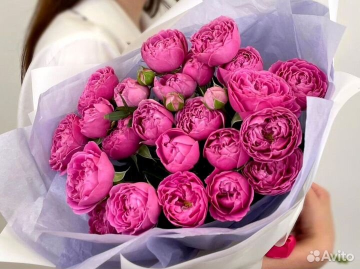 Букет из 73 пионовидных роз