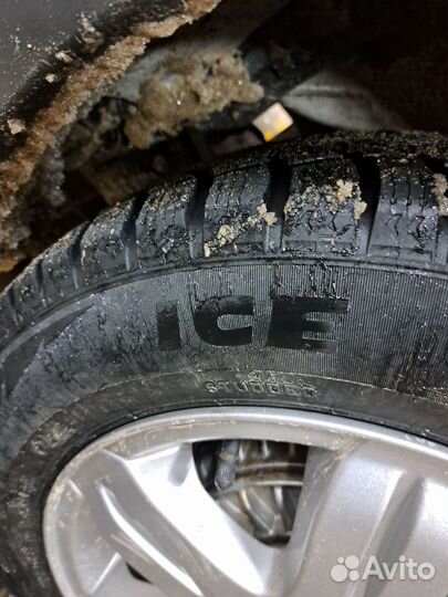 Formula Ice 185/65 R15 88Q