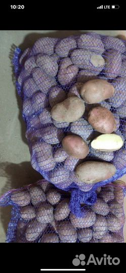 Продам картофель,овощи с доставкой от 5 кг,сенчик