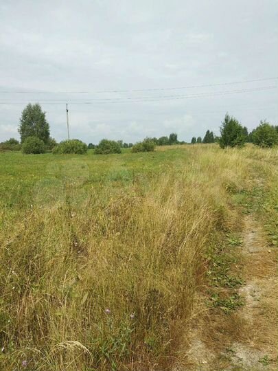 Участок 5 га (СНТ, ДНП)