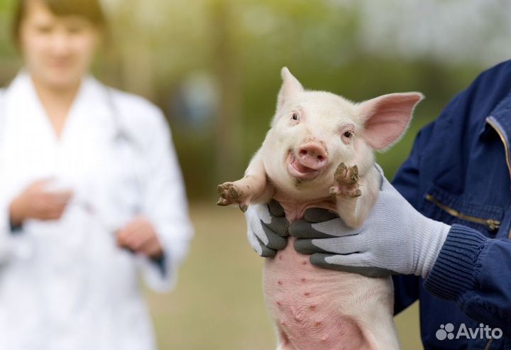 Вахта с 3-х разовым питанием разнорабочие