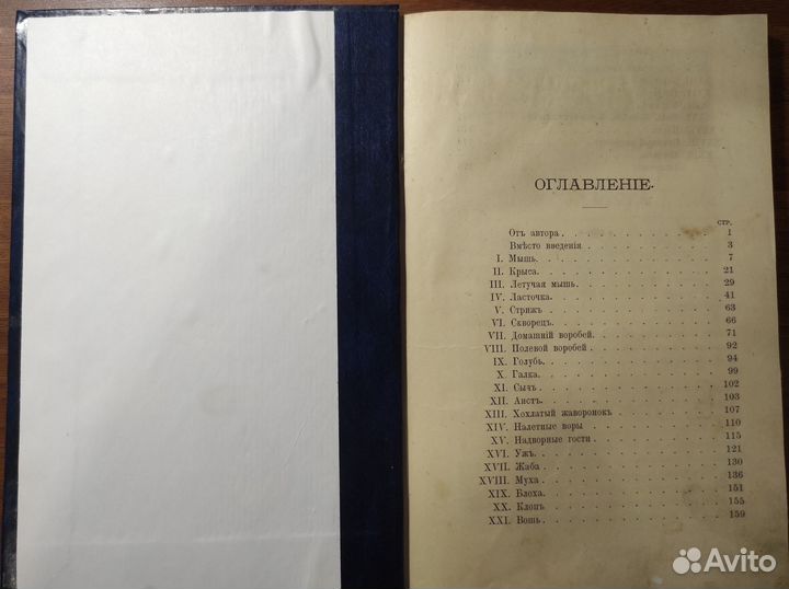 Богданов М.Н. Мирские захребетники