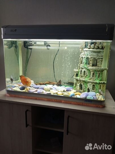 Аквариум с тумбой jebo плюс всё содержимое
