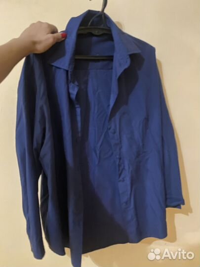 Zara mango lime massimo d