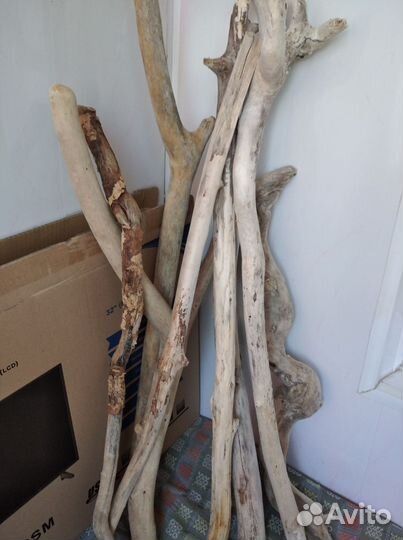 Коряги дрифтвуд