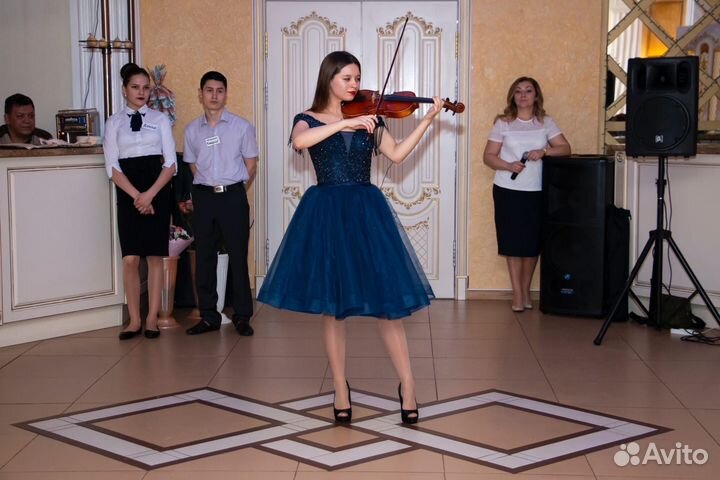 Скрипач на праздник, живая музыка