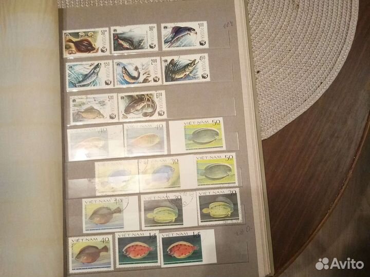 Альбом животные разные страны 10страниц