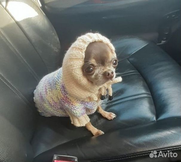 Вязаные вещи питомцам (ручная работа) под заказ