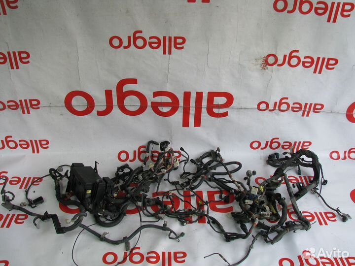 Lexus GX470 проводка подкапотная