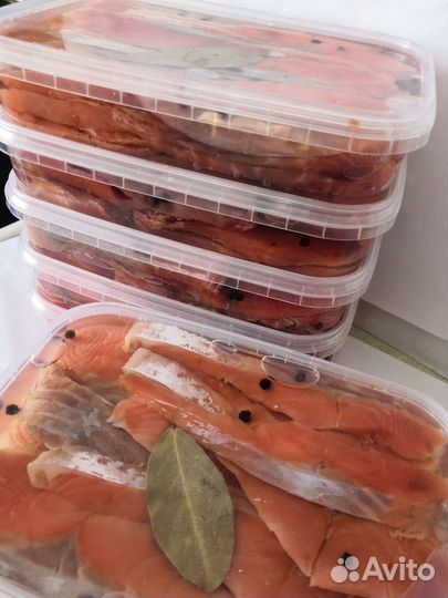 Рыба Нерка Кета